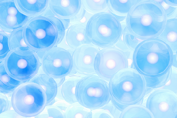 ヒト臍帯血幹細胞培養上清液