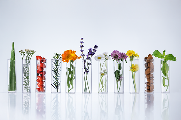 植物由来天然成分